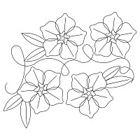 forget me knot e2e 003